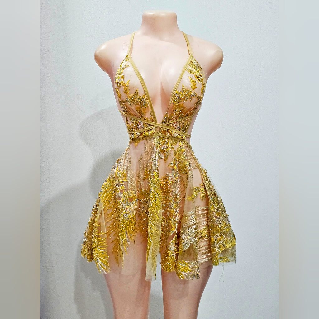 Gold Rubie Embroidery Dress