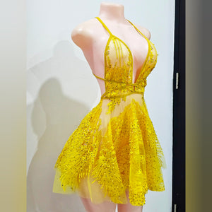 Yellow Rubie Embroidery Dress